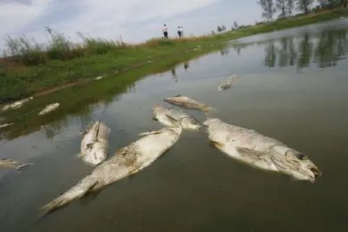 養(yǎng)殖水質檢測